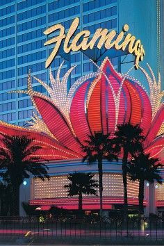 Vegas Palm Trees, Las Vegas Flamingo, The Flamingo Las Vegas, Flamingo Casino, Font Idea, Flamingo Las Vegas, Flamingo Hotel, Old Vegas, Vegas Vacation