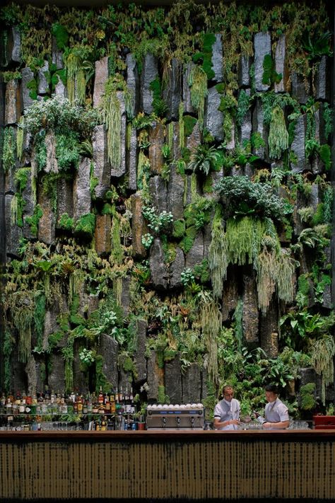 Air Mancur, Vertical Garden Design, Shangri La Hotel, Vertical Garden Wall, Garden Aesthetic, Green Architecture, Wall Garden, Shangri La, Living Wall