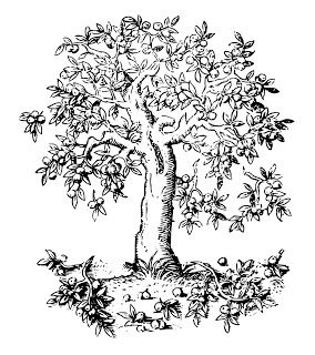 Vintage Tlc: Free Vintage Image Transfer Graphic Apple Tree Drawing, Drawing Trees, Shopkins Colouring Pages, Drawing Apple, Leaf Coloring Page, Fruit Coloring Pages, Heart Coloring Pages, Tree Coloring Page, Tree Clipart