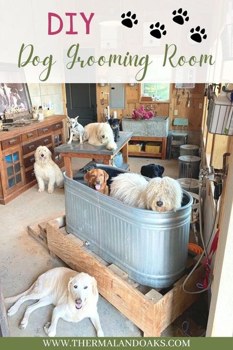 Dog Grooming Room, At Home Dog Grooming, Dog Grooming Station, Dog Wash Station, Diy Dog Wash, Grooming Room, Grooming Station, Thermaland Oaks, Wash Station