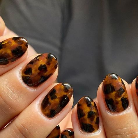 Short Nail Designs Tortoise Shell, Colorful Tortoise Shell Nails, Tortoise Gel Nails, Tortoiseshell Nails With Gold, Torrid Shell Nails, Black And Tortoise Nails, Short Tortoise Nails, Autumn Nails Tortoise Shell, Tortoise Shell Gel Nails