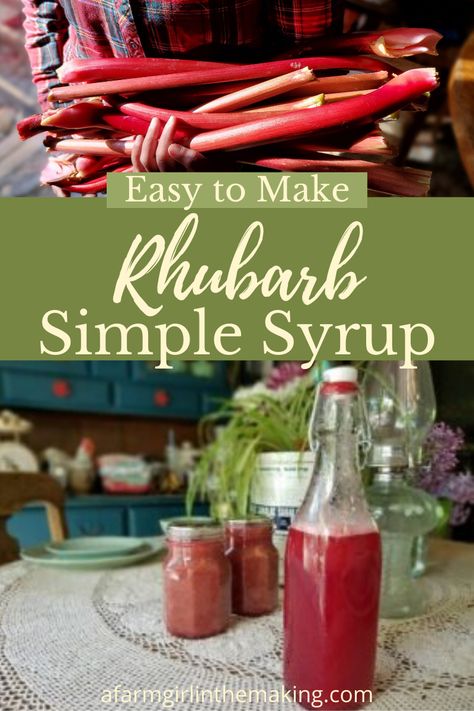 Rhubarb Simple Syrup | Preserving Rhubarb | A Farm Girl in the Making Rhubarb Simple Syrup, Rhubarb Cordial, Freeze Rhubarb, Rhubarb Syrup, Strawberry Butter, Simple Syrup Recipes, Cocktail Syrups, Homemade Syrup, Sweet Cocktails