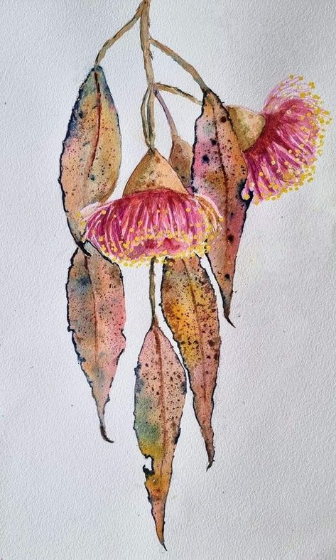 Native Watercolor Paintings, Australian Flowers Watercolour, Gum Leaf Drawing, Watercolour Gum Leaves, Australian Flowers Drawing, Australian Flowers Painting, Australian Native Art, Australian Native Flowers Illustration, Australian Watercolour