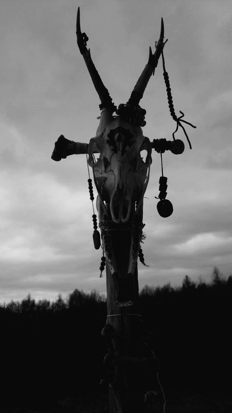 Baba Yaga Aesthetic, Gothic Nature, Norse Paganism, Viking Aesthetic, Dark Forest Aesthetic, Doom Metal, Pagan Rituals, Dark House, Vulture Culture