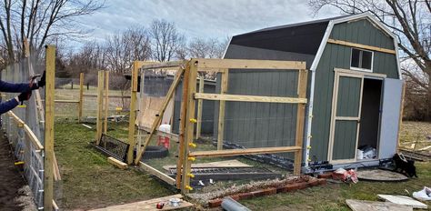 Shed To Chicken Coop Conversion, Shed Chicken Coop Conversion, Duck Run, Shed Conversion, Converted Shed, How To Raise Chickens, Chicken Coup, Fence Pickets, Chicken Coop Run