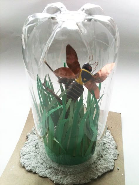 Insect Habitat Project Kids, 3d Art Ideas Projects, Clay Insects, Insect Art Projects, Insect Habitat, 3d Art Projects, Insect Crafts, Folding Origami, Bug Art