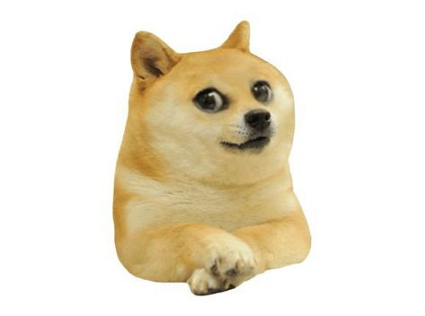 Cheems Dog Png, Cheems Dog, Doge Dog, Twitter Template, Remove Bg, Dog Png, Dog Room, Dog Rooms, Upload Image