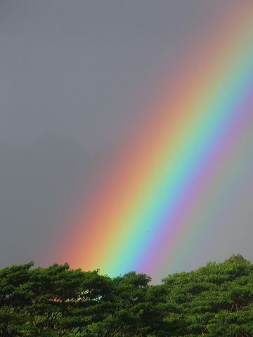 Beautiful Hawaiian Rainbow Exam Photography, Scene Hairstyles, Hawaiian Rainbow, Rainbow Promise, Hawaii Rainbow, Hawaii Islands, Rainbow Pictures, God's Promise, Hawaii Style