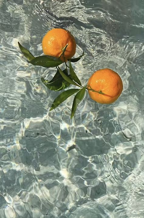 Fruit In Water, Water Aesthetic, Floating In Water, In Water, Floating, Fruit, Orange, Water