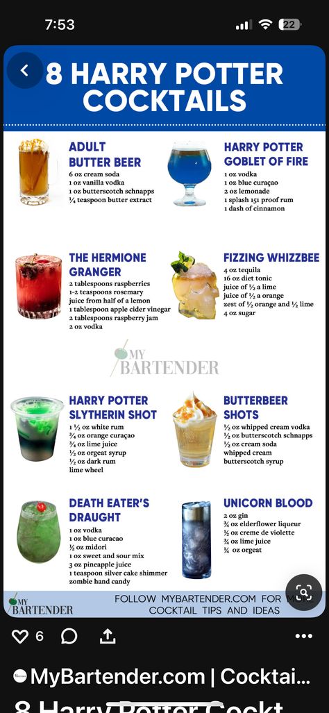 Harry Potter Signature Drinks, Harry Potter Drinks Nonalcoholic, Harry Potter Inspired Drinks, Harry Potter Drinks Alcohol, Harry Potter Cocktails, Harry Potter Drinks, Party Drink Ideas, Harry Potter Goblet, Movie Food