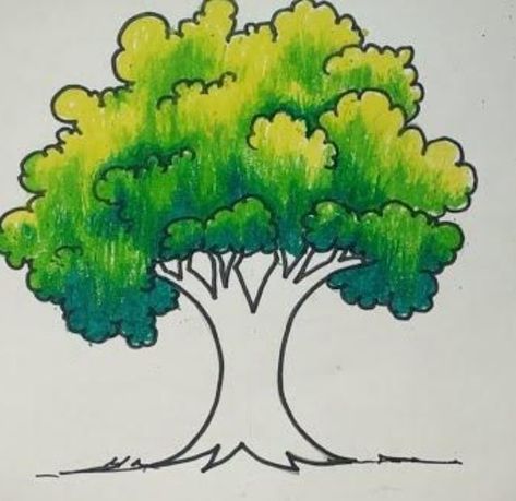 Tree Drawing Pencil Colour, How To Draw Family Tree, Tree Drawing For Kids, Drawing Pictures For Kids, Art Classes For Kids, Trees Drawing, Tree Drawing Simple, Drawing Classes For Kids, Buddhist Art Drawing