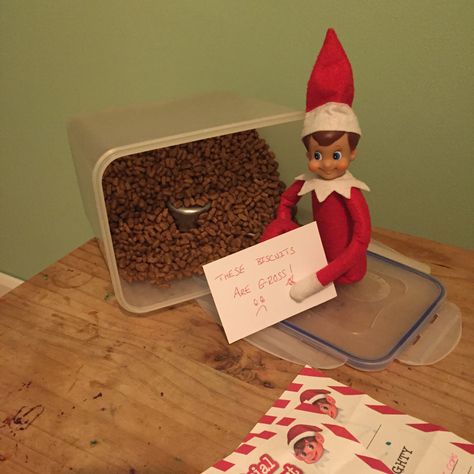 Shelf Elf mistakes cat biscuits for tasty treats. Cat Biscuits, Shelf Elf, Tasty Treats, On The Shelf, Elf On The Shelf, Yummy Treats, Elf, Biscuits, Shelves