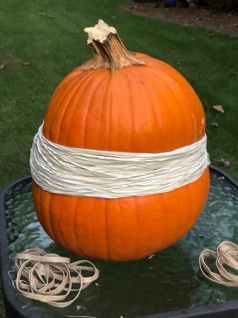 Pumpkin Hunt Ideas, Exploding Pumpkin Experiment, Fall School Age Activities, Pumpkin Olympics, Games With Pumpkins, Quests Ideas, Pumpkin Explosion, Pumpkin Launcher, Pumpkin Throwing Up