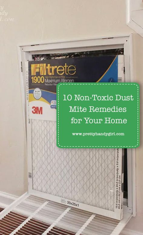 10 Non-Toxic Dust Mite Remedies for Your Home | Pretty Handy Girl Allergy Rash, Dust Mite Allergy, Dust Allergy, Nose Picking, Allergy Remedies, Lower Back Pain Exercises, Allergy Asthma, Asthma Attacks, Cough Remedies