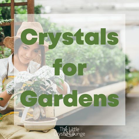 Adding crystasl into your gardening can be of great benefit to both you and your green spaces. Click on the image to read what crystals I recommend for your garden #gardeningtips #gardeningadvice #crystalbenefits #benefitsofhealingcrystals #crystalsforgardening #crystalsforgardens #howtoboostflowergrowth #gardening #howtogrowflowers #whattoplantwhere #landscapedgardens #gardeningideas #smallgardens Sun Solar, Crystal Garden, Gardening Advice, Green Space, Small Gardens, Potted Plants, Gardening Tips, Crystal Healing, Reading