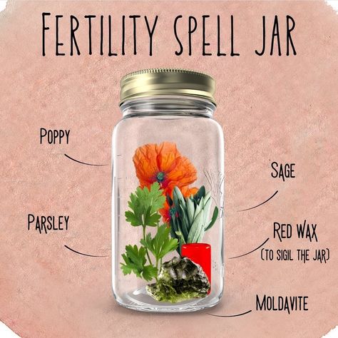 Fertility Spell, Herbs For Fertility, Pregnancy Spells, Fertility Spells, Hoodoo Spells, Womb Healing, Herb Jar, Spells For Beginners, Wiccan Crafts