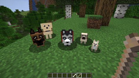 More Dogs (1.14.4) | Minecraft Mods Minecraft Bedrock Mods, Minecraft Dog, Minecraft Crafting Recipes, Minecraft Pe Mods, Minecraft Wolf, Minecraft Dogs, Minecraft Houses Survival, Game Room Kids, Minecraft Forge