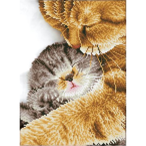 Diamond Dotz, Fabric Frame, Mother Cat, Diamond Paintings, Art Kits, Buying Diamonds, Printed Canvas, New Crafts, Art Kit