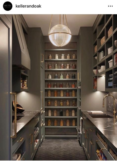 Modern Butlers Pantry, Scullery Design, Dark Pantry, Scullery Ideas, Luxury Pantry, Kitchen Scullery, Modern Queenslander, Walk In Pantry Ideas, Cheap Remodel