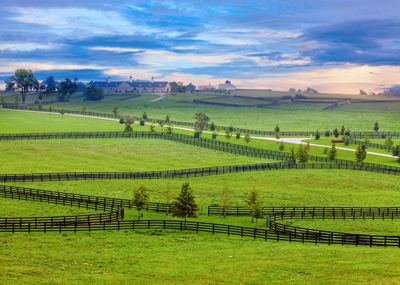 Along the Old Frankfort Pike Kentucky Horse Farms, Kentucky Art, Investing In Land, Horse Fencing, My Old Kentucky Home, States In America, Horse Farms, Bike Tour, Kayaking