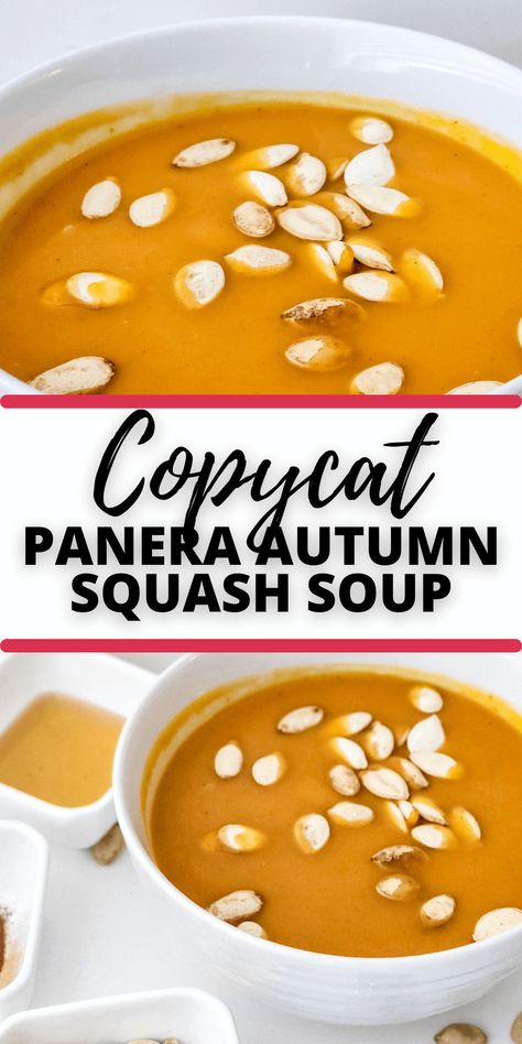 Panera Autumn Squash Soup Recipe, Panera Squash Soup, Autumn Squash Soup Recipe, Pumpkin Butternut Squash, Autumn Squash Soup, Panera Autumn Squash Soup, Yellow Squash Soup, Winter Squash Soup, Creamy Tomato Soup Recipe