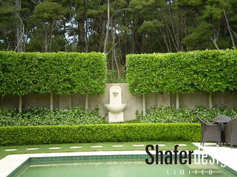 English Box Hedge, Backyard River, French Landscaping, Entrance Walkway, Hedge Ideas, Box Hedge, Hedge Garden, Entrance Landscaping, Boxwood Hedges