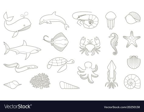 Craft Activities For Kids, Craft Activities, Sea Creatures, Doodle Art, Adobe Illustrator, Activities For Kids, Stock Vector, High Resolution, Illustrator