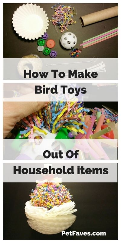 Bird toys can get expensive to buy. Save money by making your own toys. See how you can use items you have around the house to make a fun toy for your parrot. | #parrot #parrottoy #petdiy Homemade Bird Toys, Diy Parrot Toys, Parakeet Care, Diy Bird Cage, Cockatiel Toys, Budgie Toys, Parakeet Toys, Diy Bird Toys, Parakeet Cage