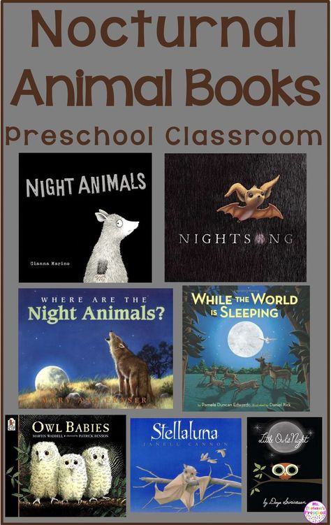 Nocturnal animal read alouds for your preschool classroom, night  animal books Nocturnal Animal Books Preschool, Free Nocturnal Animals Preschool, Nocturnal Theme Preschool, Nocturnal Animals Dramatic Play, Nocturnal Animal Activities Preschool, Night Animals Preschool, Nocturnal Animals Toddler Activities, Preschool Nocturnal Animals Activities, Nocturnal Animals Preschool Crafts