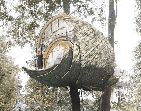 goepel & baumgartens treehouse modules in france draw influence from wasp nests Birds Nest Architecture, Cocoon Architecture Concept, Nest Architecture Concept, Cocoon Architecture, Nest Architecture, Bird Nest Art, Architectural Engineer, Wasp Nest, Shelter Design