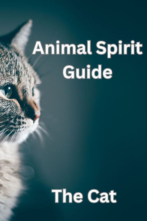 Animal spirit guide the cat speaks about wisdom and timing; it foretells the courage that is present within to enabling you to explore the unknown. Cat Spirit Animal, Pagan Life, Cat Spirit, Animal Spirit Guide, Animal Spirit Guides, Cat Power, Animal Spirit, Power Animal, Spirit Guide