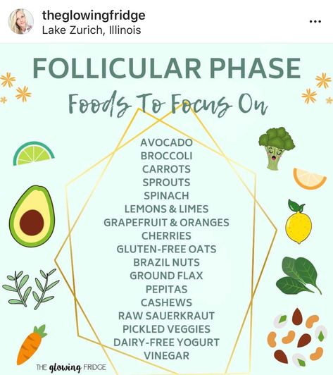 Follicular Phase Tips, Infradian Rhythm Diet, Follicular Phase Recipes Vegan, Breakfast For Follicular Phase, Follicular Phase Nutrition, Follicular Phase Grocery List, What To Eat During Follicular Phase, Food For Follicular Phase, Follicular Phase Breakfast Recipes