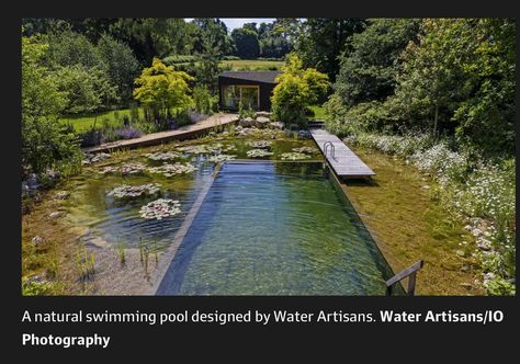 Natural Pond Pool Backyards, Natural Swimming Pool Designs, Natural Pool Ideas, Swimming Pool Natural, Organic Pool, Pond Swimming Pool, Pond Swimming, Country House Garden, Swim Pond