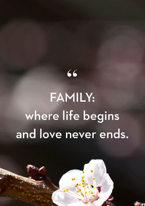 Dinner Quotes Family, Love Family Quotes Blessed, Little Family Quotes, Family Quotes Blessed, Family Motivational Quotes, Family Quotes Images, Beautiful Family Quotes, Inspirational Family Quotes, Fascinating Quotes