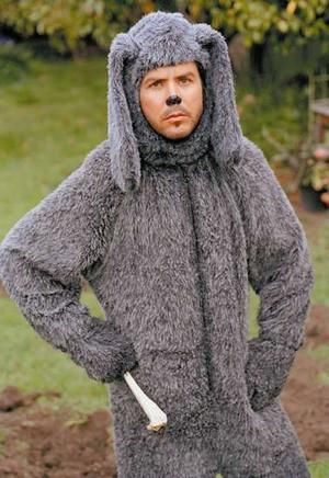 Adam's Halloween Costume Wilfred Costume, Dog Expressions, Sounds Good To Me, Most Asked Questions, Love Your Pet, Fall Crafts Diy, Dog Biting, Tv Times, Halloween Deco