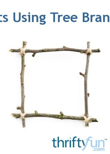 Whether fresh or dry, branches and twigs are a thrifty supply to create a variety of things. This guide is about crafts using tree branches. Tree Branch Crafts, Small Pine Cones, Twig Crafts, Tree Branch Decor, Rama Seca, Twig Art, Dry Branch, Branch Art, Wooden Craft