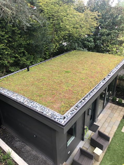 Laurelhurst DADU - W.S Feldt Green Roof Ideas, Green Roof Design, Green Roof Garden, Green Roof House, Sedum Roof, Large Walls, Grass Roof, Green Roofs, Architecture Portfolio Design