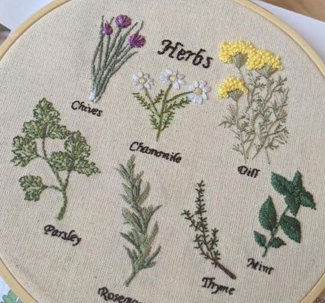 Herbs Embroidery, Embroidery Kitchen Towels, Herb Embroidery, Cactus Photo, Embroidery Kitchen, Modern Embroidery Kit, Cactus Embroidery, Botanical Embroidery, Beginner Embroidery