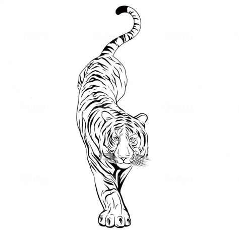 hand drawn fine line unique tattoo design Tiger Linework Tattoo, Soft Tiger Tattoo, Line Work Tiger Tattoo, Tiger Drawing Tattoo, Tiger Tattoo Drawing, Tiger Tattoo Stencil, Fine Line Tiger Tattoo, Tiger Face Tattoo, Square Tattoo