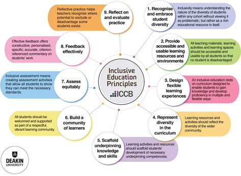 Principles of inclusive education - Inclusive Education (ICCB) Reflective Practice, Learning Framework, Inclusive Education, Curriculum Design, Effective Teaching, Teaching Practices, Formative Assessment, Design Principles, Academic Success