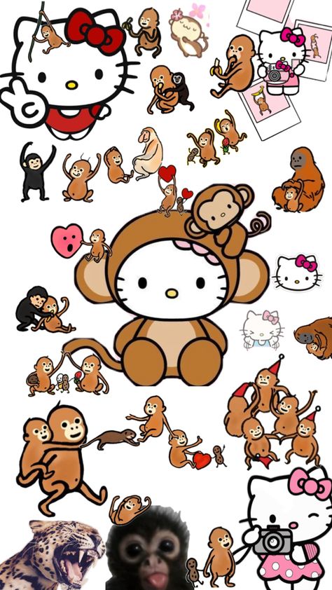 Monkey Hello Kitty, Walpaper Hello Kitty, Monkeys Funny, Cute Monkey, Kitty Wallpaper, Hello Kitty Wallpaper, Iphone Wallpaper, Funny Pictures, Hello Kitty