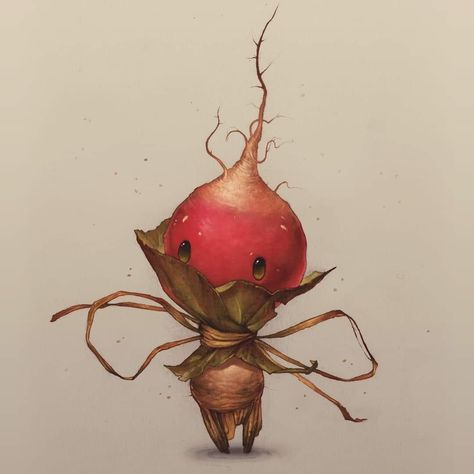 Mushroom Drawing, Witch Garden, Casual Art, Beautiful Sketches, Thanks To Everyone, Cute Fruit, Radishes, A Pencil, Eye Drawing