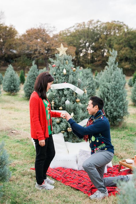 Christmas Tree Farm Proposal, Tree Farm Proposal, Farm Proposal, Christmas Proposal Ideas, Wedding Proposal Ideas, Picnic Proposal, Proposal Inspiration, Holiday Engagement, Christmas Proposal