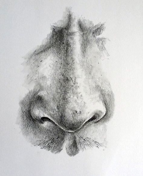 Realistic Nose Easy Charcoal Drawings, Draw A Nose, Realistic Eye Drawing, Pencil Drawing Tutorials, Drawing Hands, Nose Drawing, Lips Drawing, Charcoal Drawing, Drawing Videos