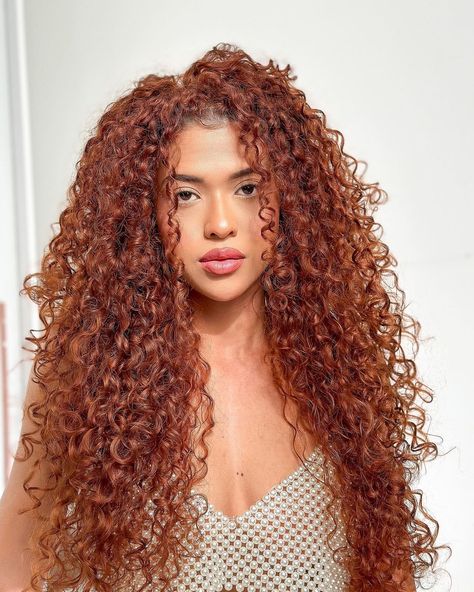 Red Copper Curly Hair, Ginger Hair Color Curly, Red Hair On Curly Hair, Dark Ginger Curly Hair, Dark Copper Curly Hair, Reddish Brown Curly Hair, Hair Inspp, Strawberry Blonde Curly Hair, Copper Curly Hair