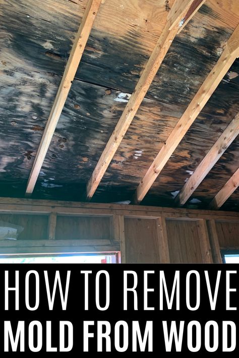 Learn how to safely remove mold from wood with our step-by-step guide. Discover tips on cleaning and preventing mold to protect your home and health. Effective for indoor and outdoor wood surfaces. Mold Remover On Wood, Remove Mold From Wood, Old Wood Windows, How To Remove Mold, Remove Black Mold, Remove Mold, Wood Window Frame, Cleaning Wood, Mold Remover