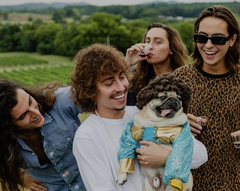 Doug The Pug, Greta Van Fleet, The Pug, New Rock, Fleetwood Mac, Led Zeppelin, Pretty Men, Beautiful Images, Pug