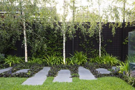 Birch Trees Garden, House Front Garden, Front Garden Design Ideas, Birch Trees Landscaping, Small Front Gardens, Betula Pendula, Front Yard Landscape, White Birch Trees, Backyard Plants