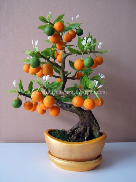 Orange Bonsai | Clay Flower Art Like this. Bonsai Fruit Tree, Kebun Herbal, Plantas Bonsai, ดินปั้น Polymer Clay, Bonsai Art, Miniature Trees, Bonsai Plants, Bonsai Garden, Orange Tree