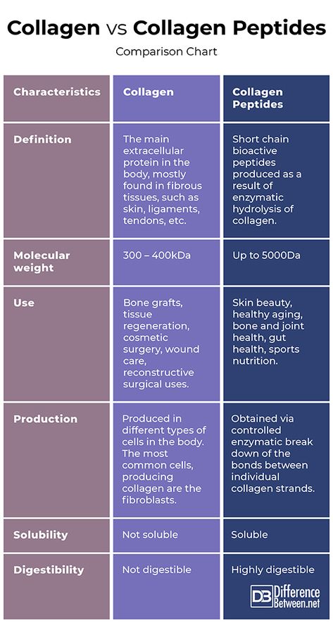 Difference Between Collagen and Collagen Peptides | Difference Between Collagen Deficiency Symptoms, Types Of Collagen, Eatable Plants, Peptides Benefits, Apple Cider Gummies, Collagen Peptides Benefits, Benefits Of Collagen Peptides Powder, Elastin And Collagen, Facts About Collagen